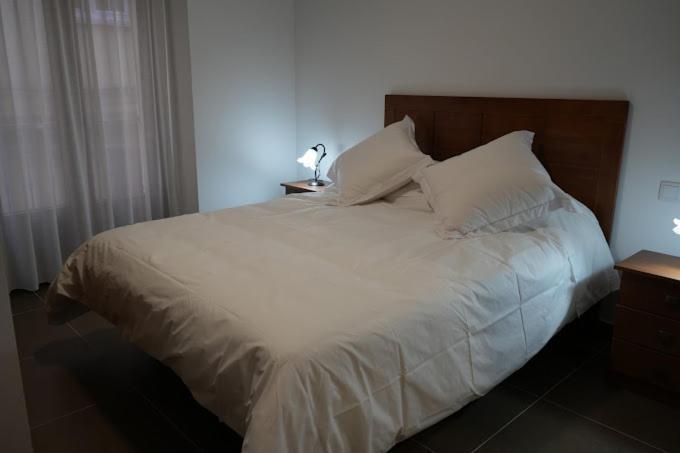 Apartamentos Turisticos Empecinado Roa Екстериор снимка
