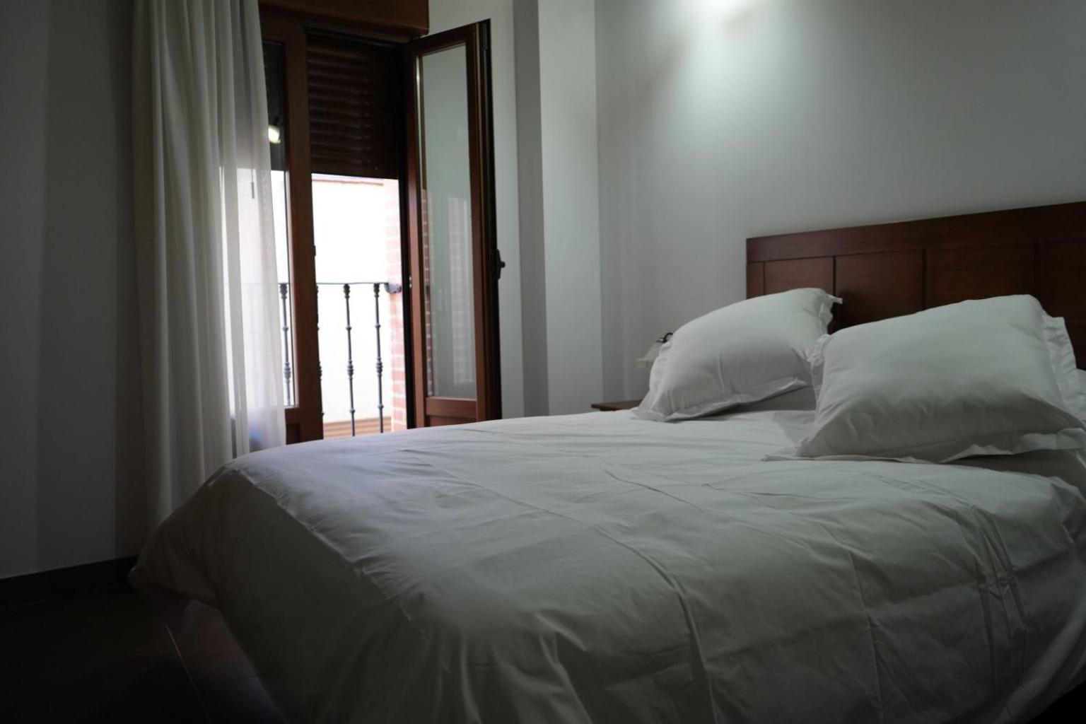 Apartamentos Turisticos Empecinado Roa Екстериор снимка